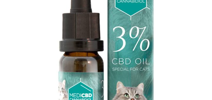 CBD Oil for Cats: A Guide to Better Health