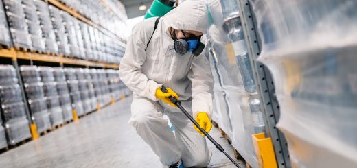 Safeguarding Your Business: Commercial Pest Control Tips